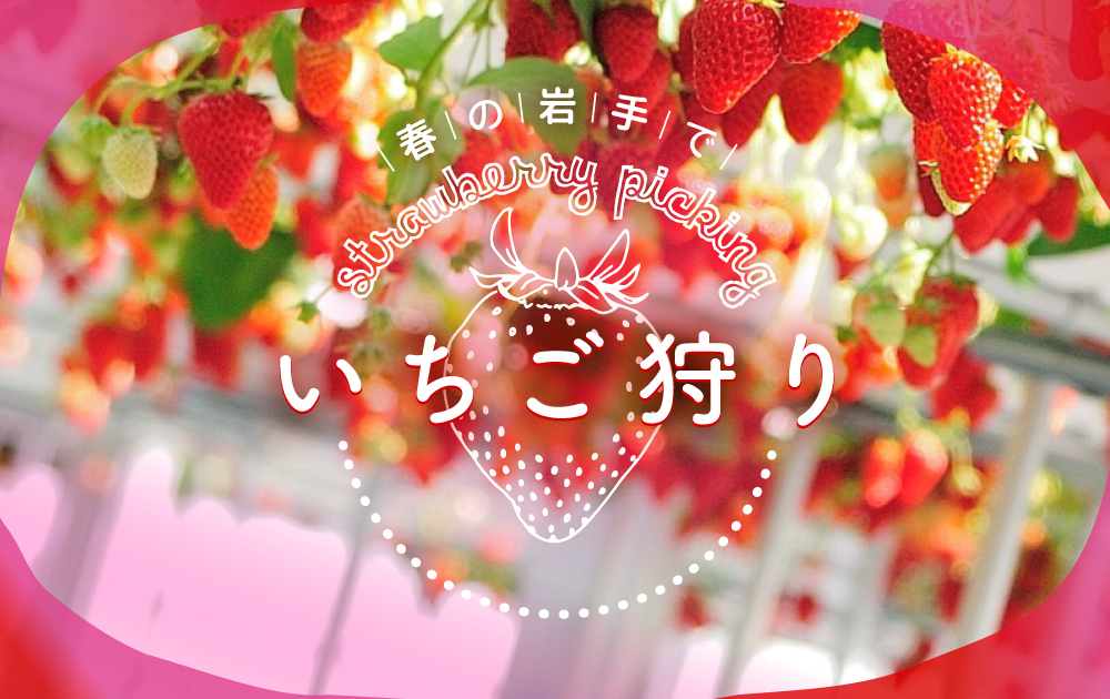 いちご狩り2026