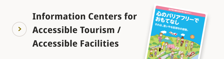 Information Centers for Accessible Tourism / Accessible Facilities