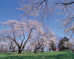 시로야마 공원