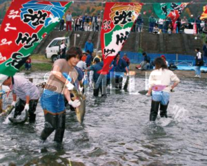 เทศกาลปลาแซลมอนโอริคาซากาวะ