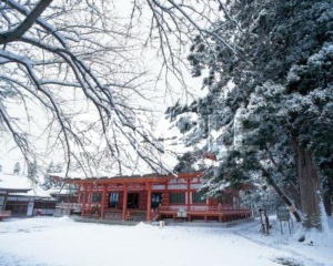 冬の毛越寺
