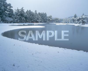 冬の毛越寺庭園大泉が池