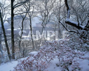 冬季的花卷溫泉村
