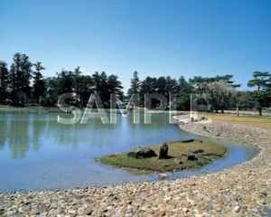 春の浄土庭園大泉が池（毛越寺）