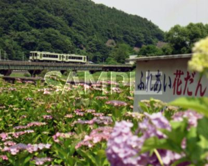 当地釜石线 H20 岩手-平泉旅游宣传活动荣誉奖。