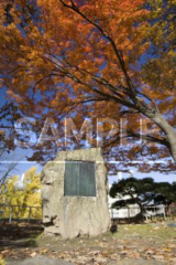 啄木诗人纪念碑（盛冈城迹公园）。