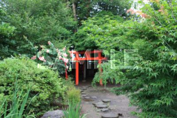Midorifuso Kamemaro Shrine 1（綠風莊龜丸神社1）