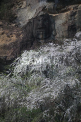 055 平泉町 _ Tatsuya Cave Bishamondo Rock Mask Big Buddha （2） _ （春天）