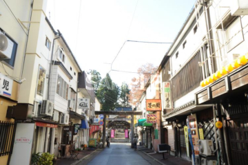 155 เมืองโมริโอกะ_ย่านซากุระยามะ_(ฤดูใบไม้ร่วง)