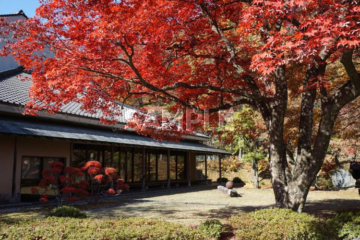 162 Morioka City_Morioka City Central Community Center ⑦_(Autumn)