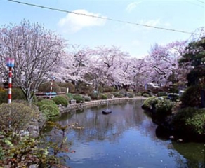 สวนสาธารณะมิซึซาวะ