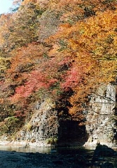 爱宕山自然公园