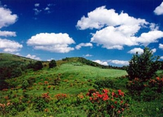 Aharayama Plateau