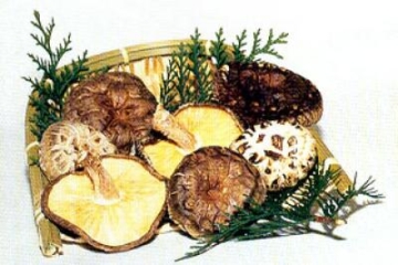 dried shiitake mushrooms