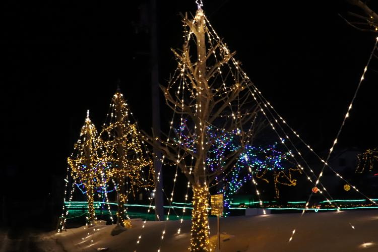 かるまい冬灯り