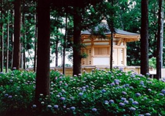 다테야마 사적 공원(이와타니도 성본 마루터)