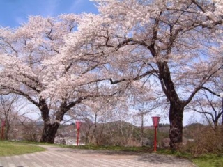 Tateyama Park