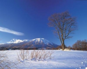 Mt. Iwate (Takizawa City)