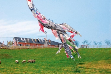 쿠즈마키 고원 목장 잉어의 보리 축제