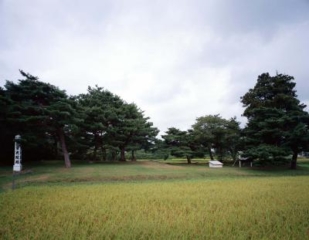 Muryōkōin 遗址 [世界遗产]。
