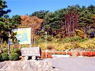 Miwamori Park