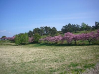 Takamori Plateau