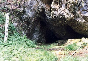 布佐洞窟遺跡