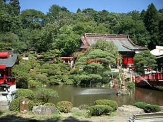 坂木山稻荷神社