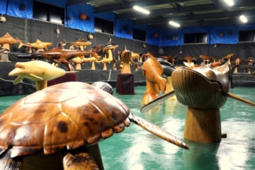 木雕魚博物館魚巴尼亞