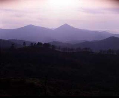 七時雨山山開き