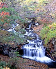 Oguro Falls