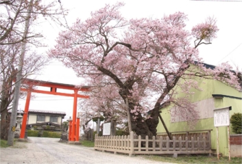 Shikari Wake 神社