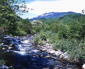 Yakushigawa mountain stream