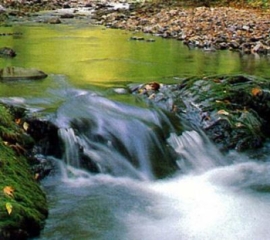 Toyomane River headwaters