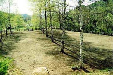 Osako Kasazume Campground（笠目大佐子露營地）