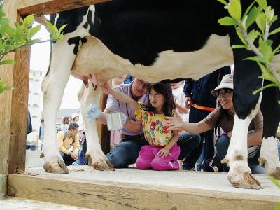 Farm experience in Tohoku’s largest dairy farming village