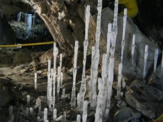 內島樹洞冰竹筍的觀察