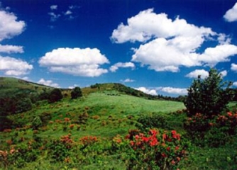 아하라산 고원산 열림