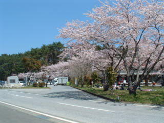 goishi coast
