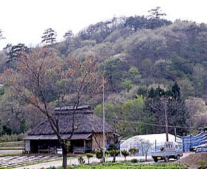 Arashiyama in the back