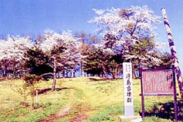 Ukishima tumulus group