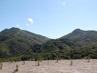 Mt. Wasarahi