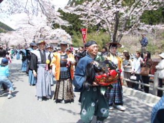 釜石樱花节