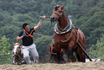 Tohoku Horsepower Tournament Uma no Sato Tono Tournament