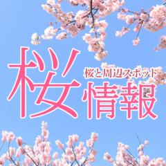 🌸いわて桜の名所🌸　4/19開花情報
